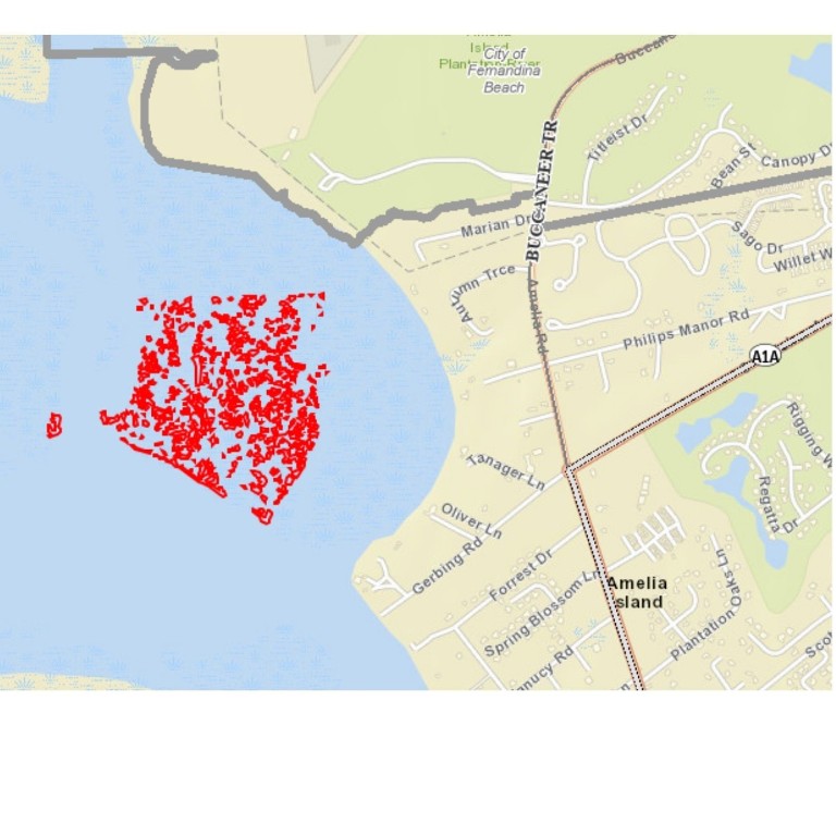 Off Amelia Road, Fernandina Beach, Florida image 5