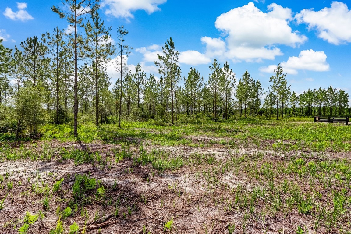 Lot 9 Georgia Street, Hilliard, Florida image 7