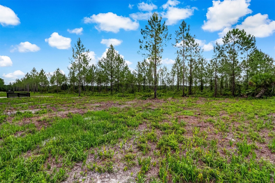 Lot 9 Georgia Street, Hilliard, Florida image 10