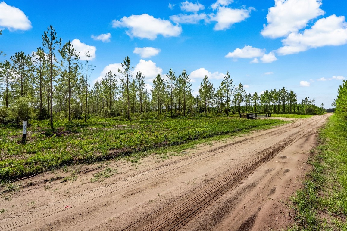 Lot 9 Georgia Street, Hilliard, Florida image 8