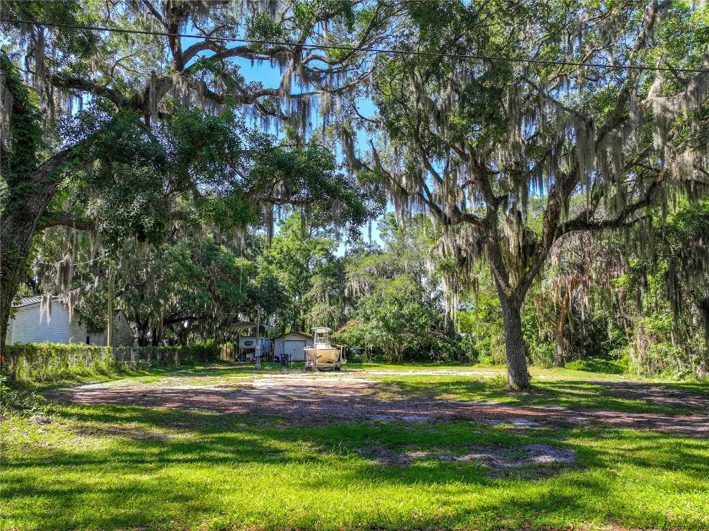 94050 Winterberry Avenue, Fernandina Beach, Florida image 4