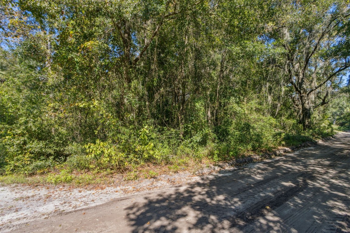 Chester River Road, Yulee, Florida image 4