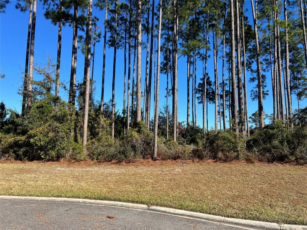 85282 Napeague Drive, Fernandina Beach, Florida image 6