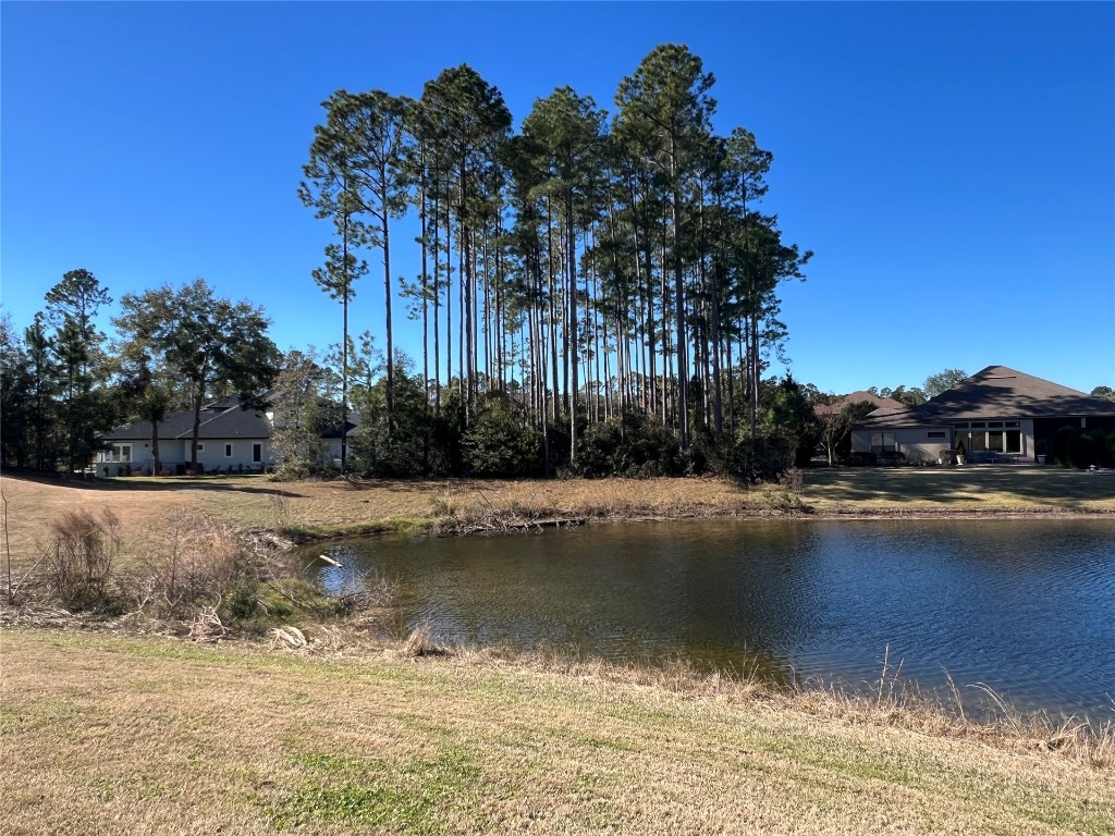 85282 Napeague Drive, Fernandina Beach, Florida image 5