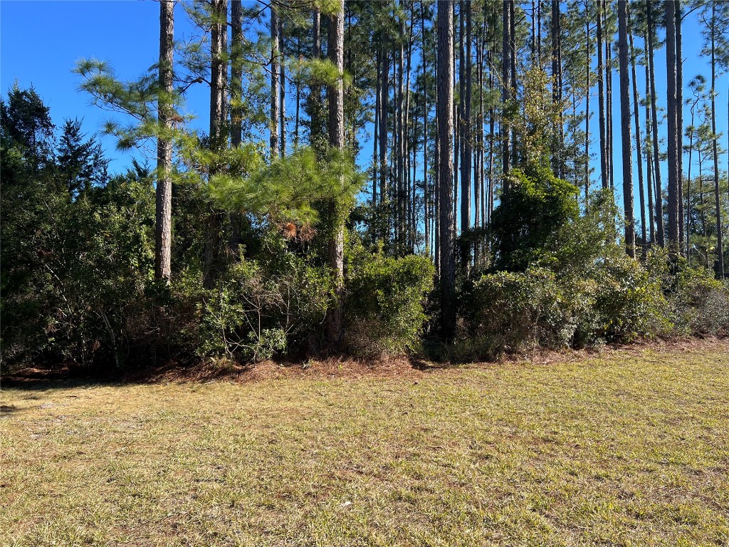 85282 Napeague Drive, Fernandina Beach, Florida image 1