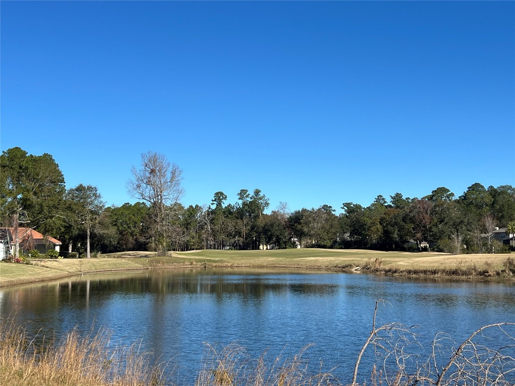 85282 Napeague Drive, Fernandina Beach, Florida image 3