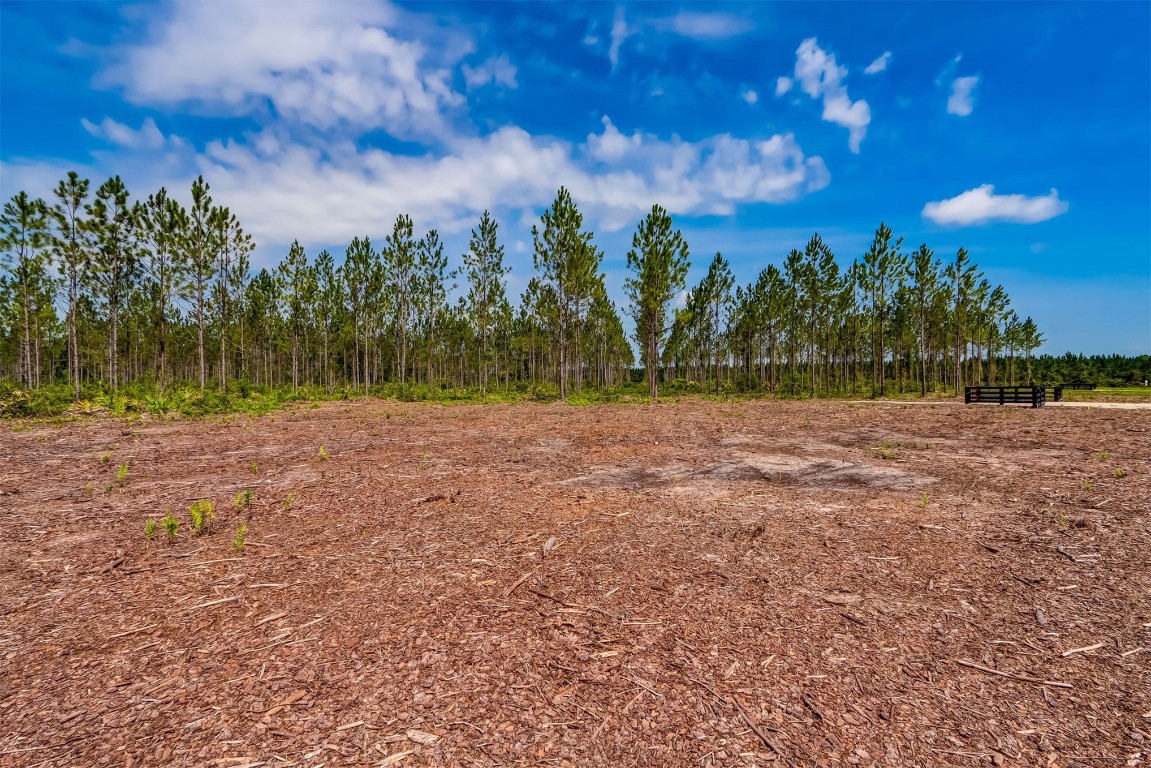 Lot 5 Georgia Street, Hilliard, Florida image 7