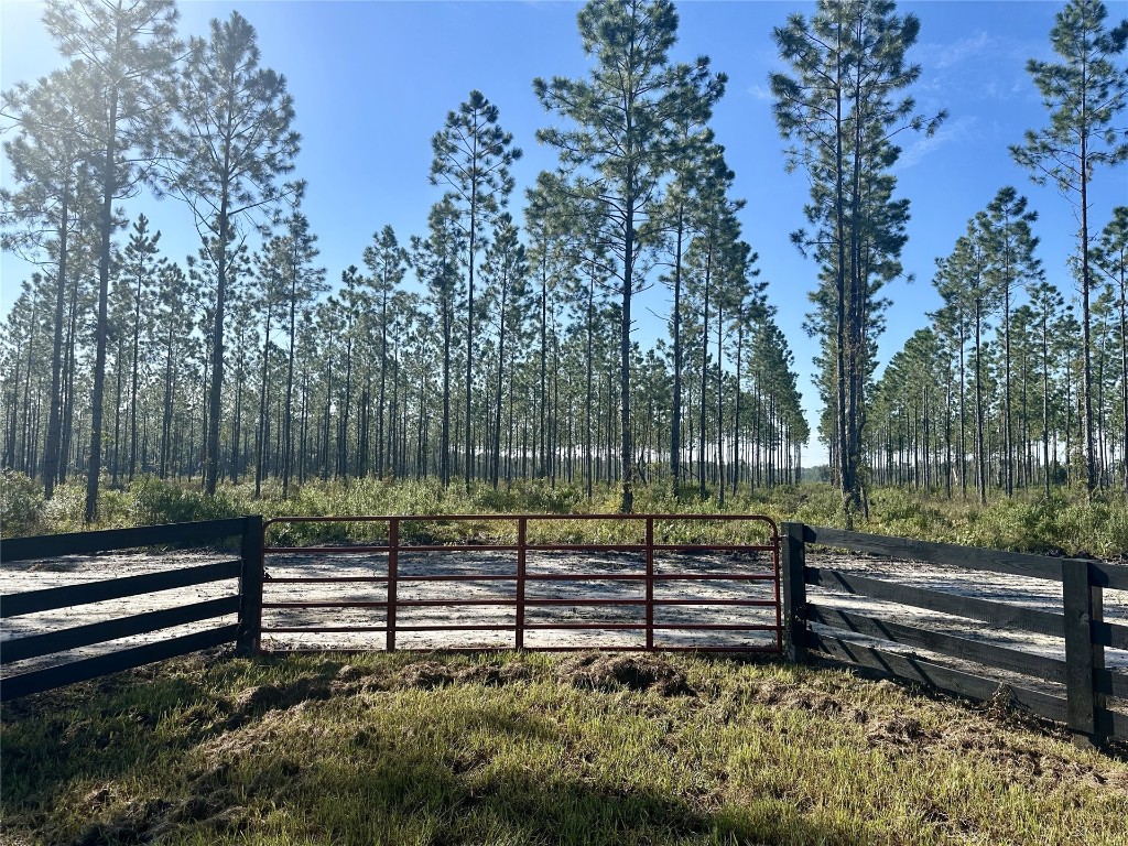 172747 Andrews Road, Hilliard, Florida image 1