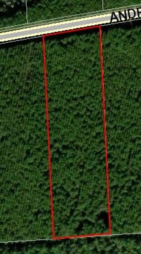 Vacant Land For Sale - 172747 Andrews Road<br/> Hilliard, FL 32046