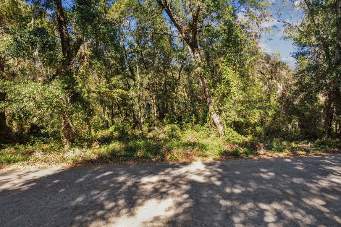 Quattlefield Lane, Fernandina Beach, Florida image 15