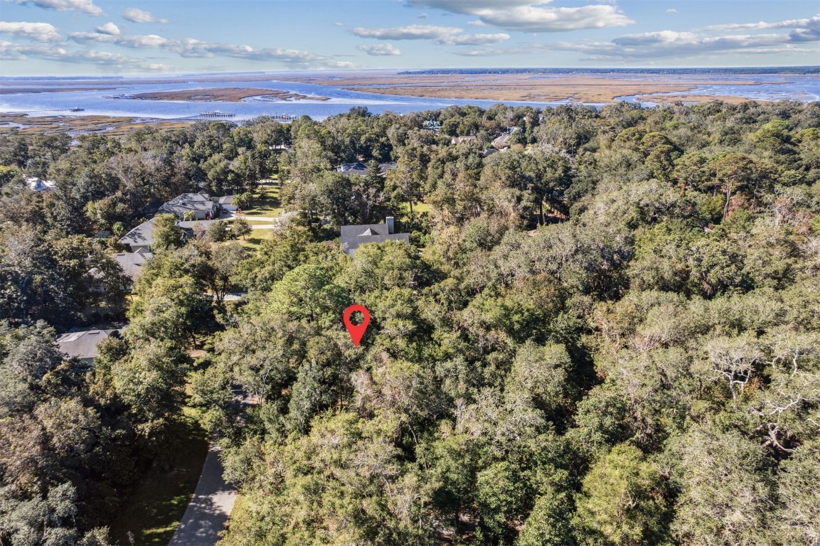 Quattlefield Lane, Fernandina Beach, Florida image 13