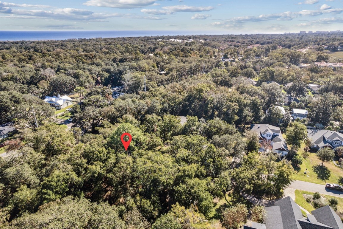 Quattlefield Lane, Fernandina Beach, Florida image 8