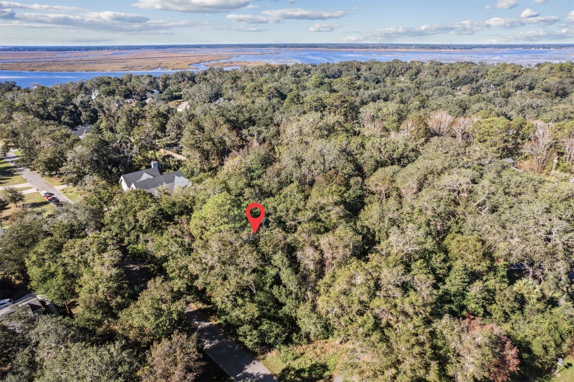 Quattlefield Lane, Fernandina Beach, Florida image 12