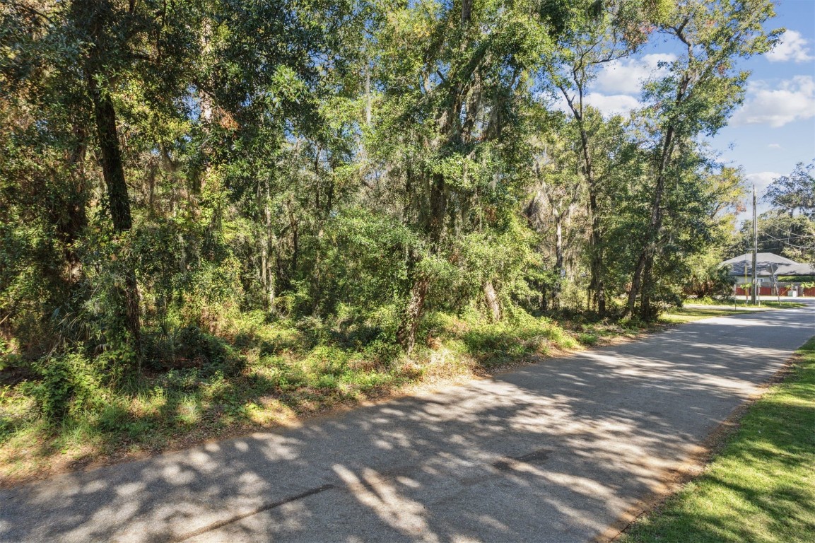 Quattlefield Lane, Fernandina Beach, Florida image 4