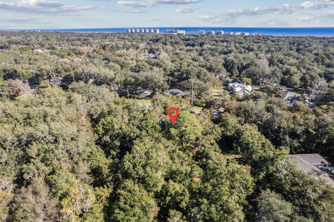 Quattlefield Lane, Fernandina Beach, Florida image 9