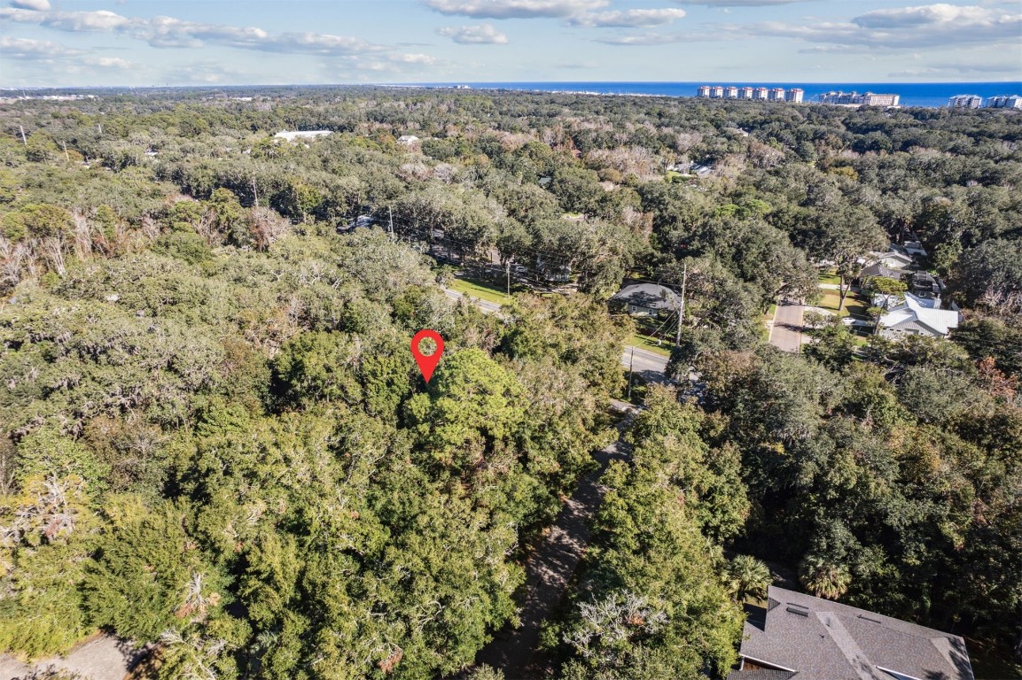 Quattlefield Lane, Fernandina Beach, Florida image 10