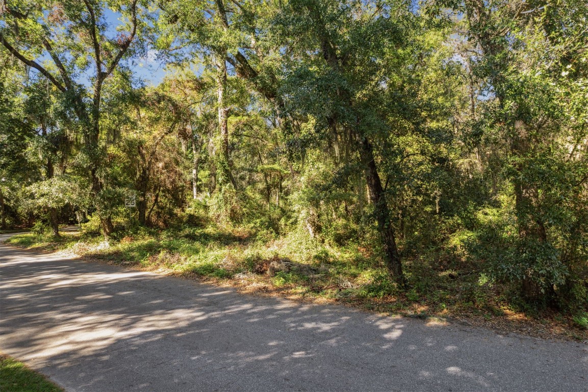 Quattlefield Lane, Fernandina Beach, Florida image 3