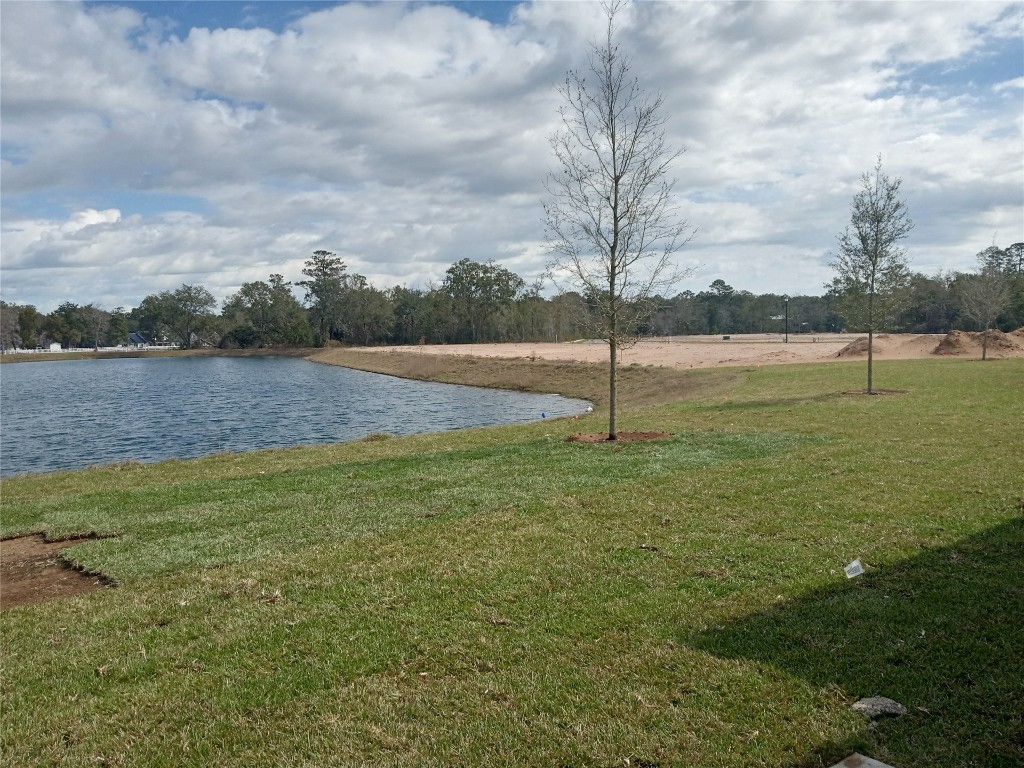 96910 Mcgirts Creek Loop, Yulee, Florida image 8
