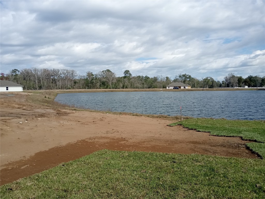 96910 Mcgirts Creek Loop, Yulee, Florida image 9