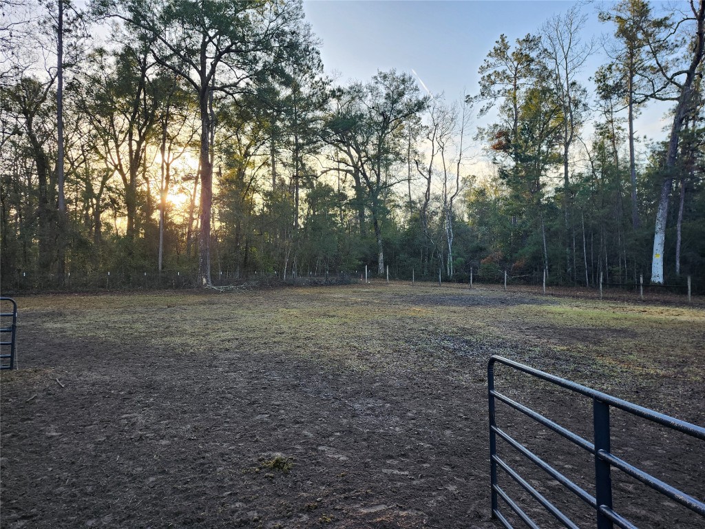 10308 Mulberry Landing, Hilliard, Florida image 9