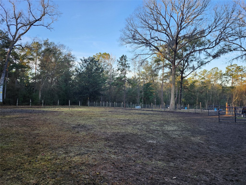 10308 Mulberry Landing, Hilliard, Florida image 11
