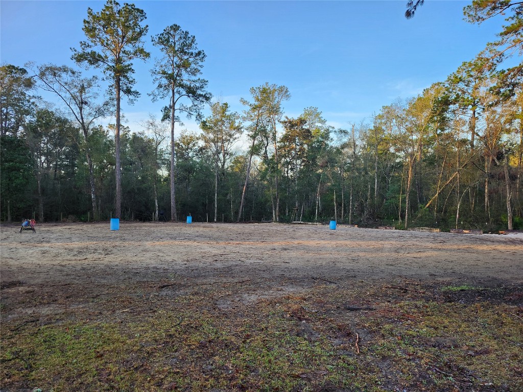 10308 Mulberry Landing, Hilliard, Florida image 7