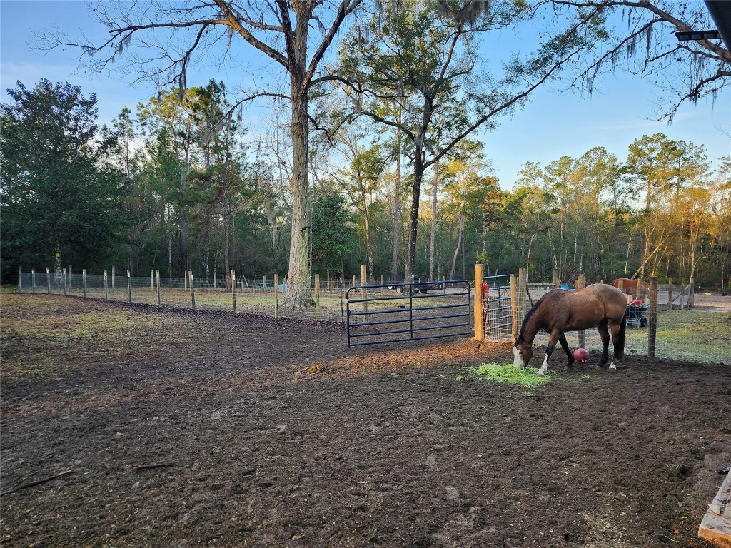 10308 Mulberry Landing, Hilliard, Florida image 12