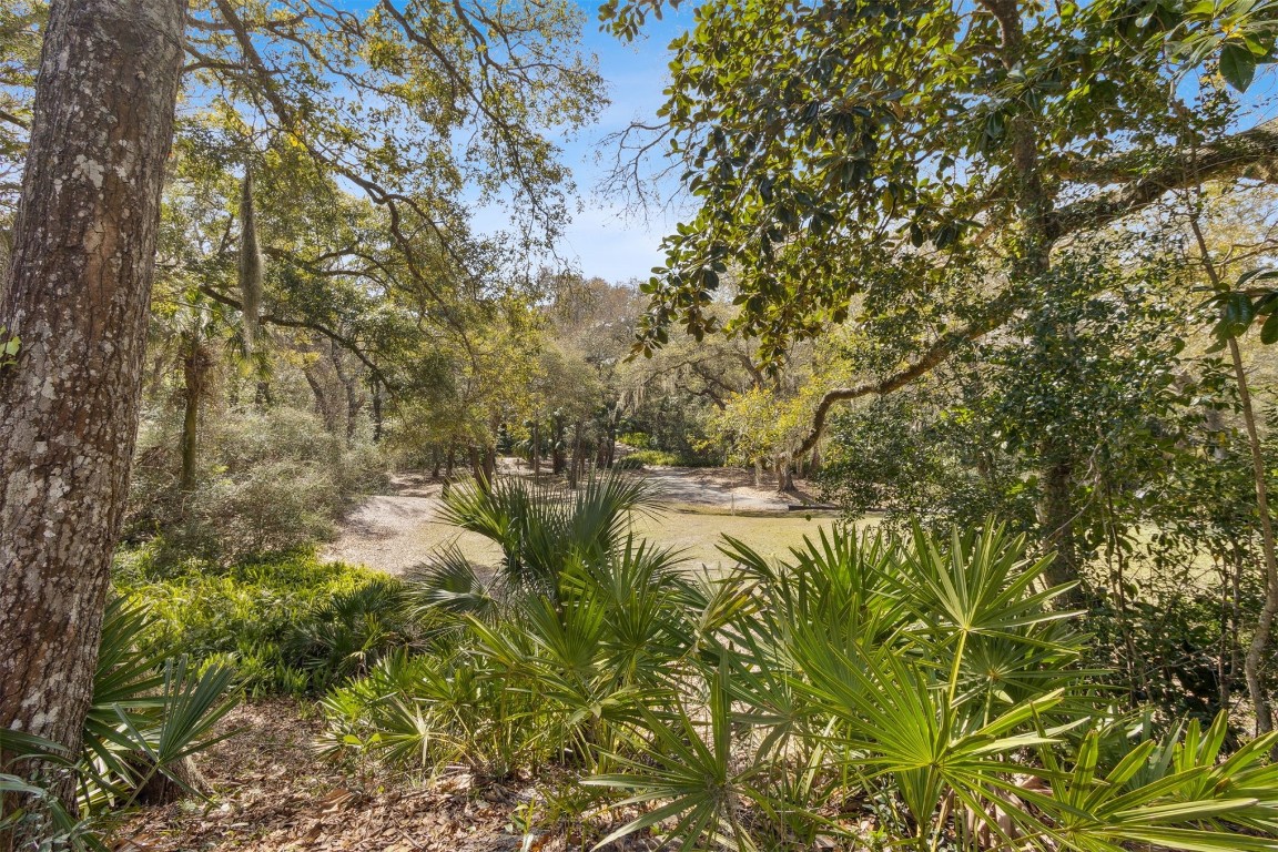 2004 Beach Wood Road, Fernandina Beach, Florida image 12