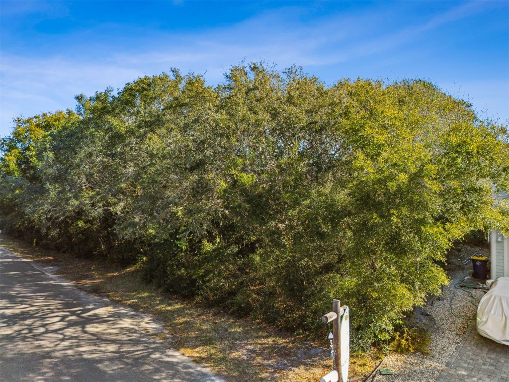 Lot 8 1st Avenue, Fernandina Beach, Florida image 3