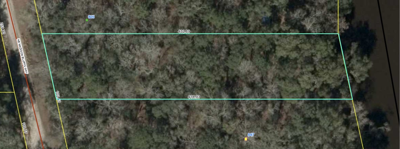 Lot 4 NE Madison Bluffs Way, Lee, Florida image 2