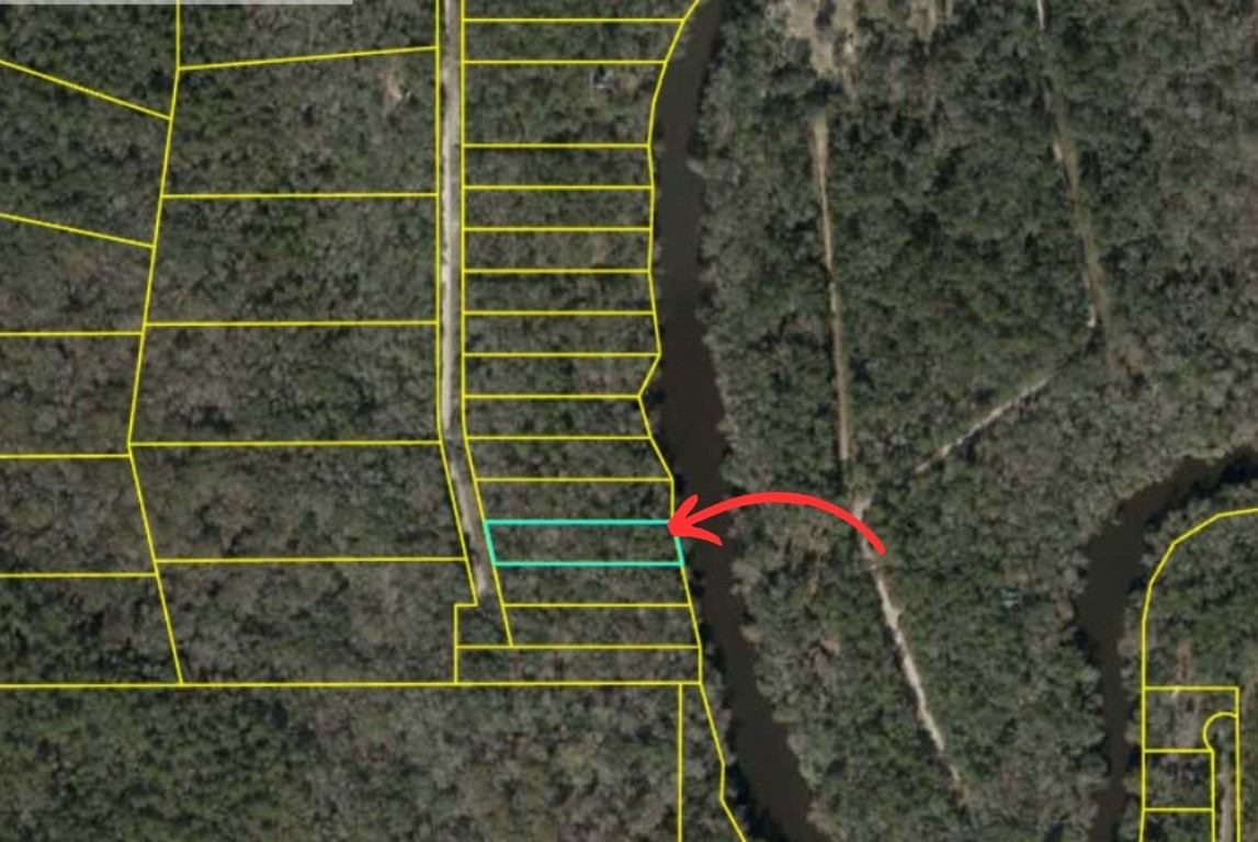 Lot 4 NE Madison Bluffs Way, Lee, Florida image 1