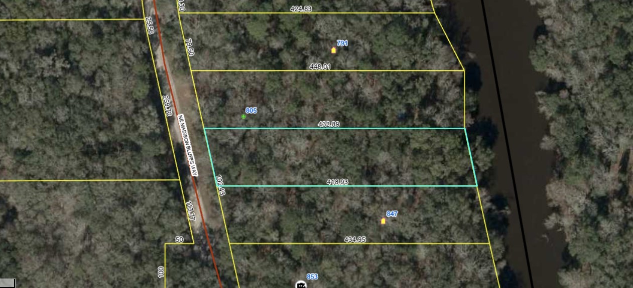 Lot 4 NE Madison Bluffs Way, Lee, Florida image 3