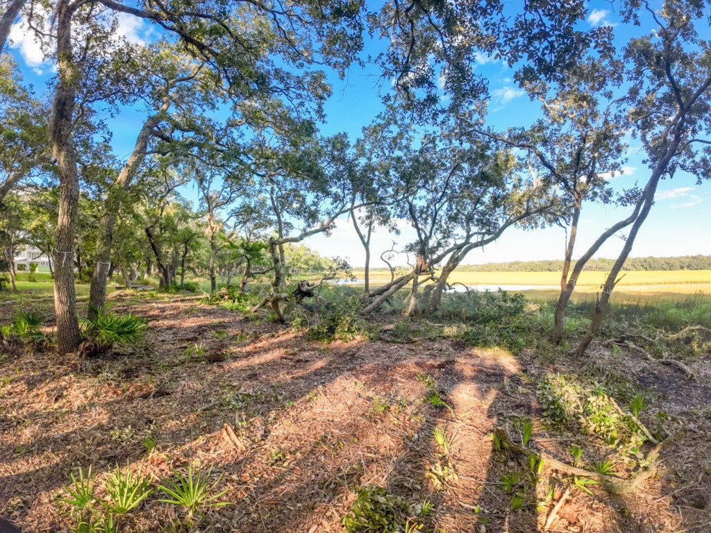 148 Crane Island Drive, Fernandina Beach, Florida image 4