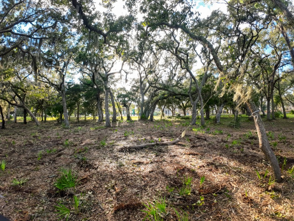 148 Crane Island Drive, Fernandina Beach, Florida image 7