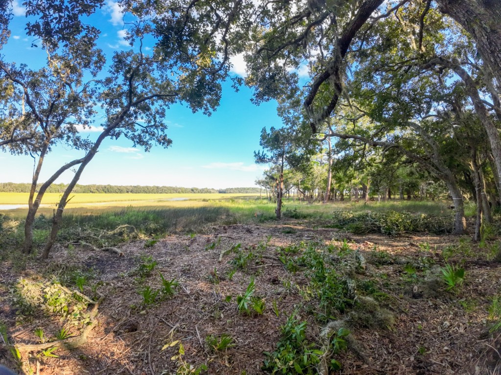 148 Crane Island Drive, Fernandina Beach, Florida image 6