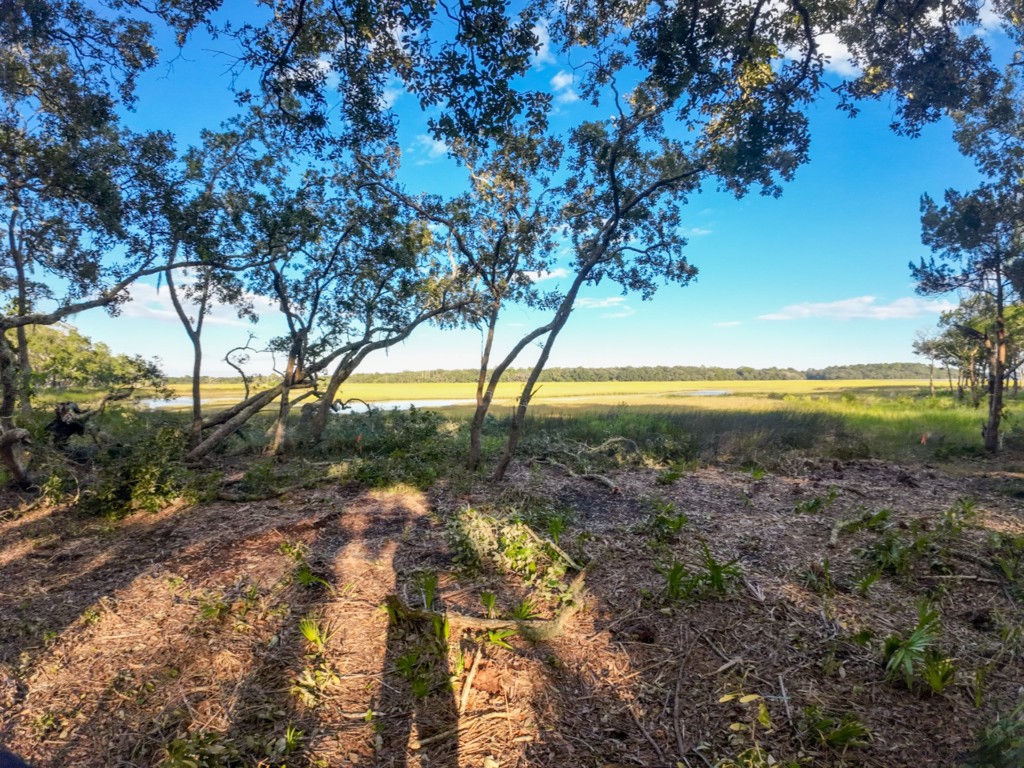 148 Crane Island Drive, Fernandina Beach, Florida image 2