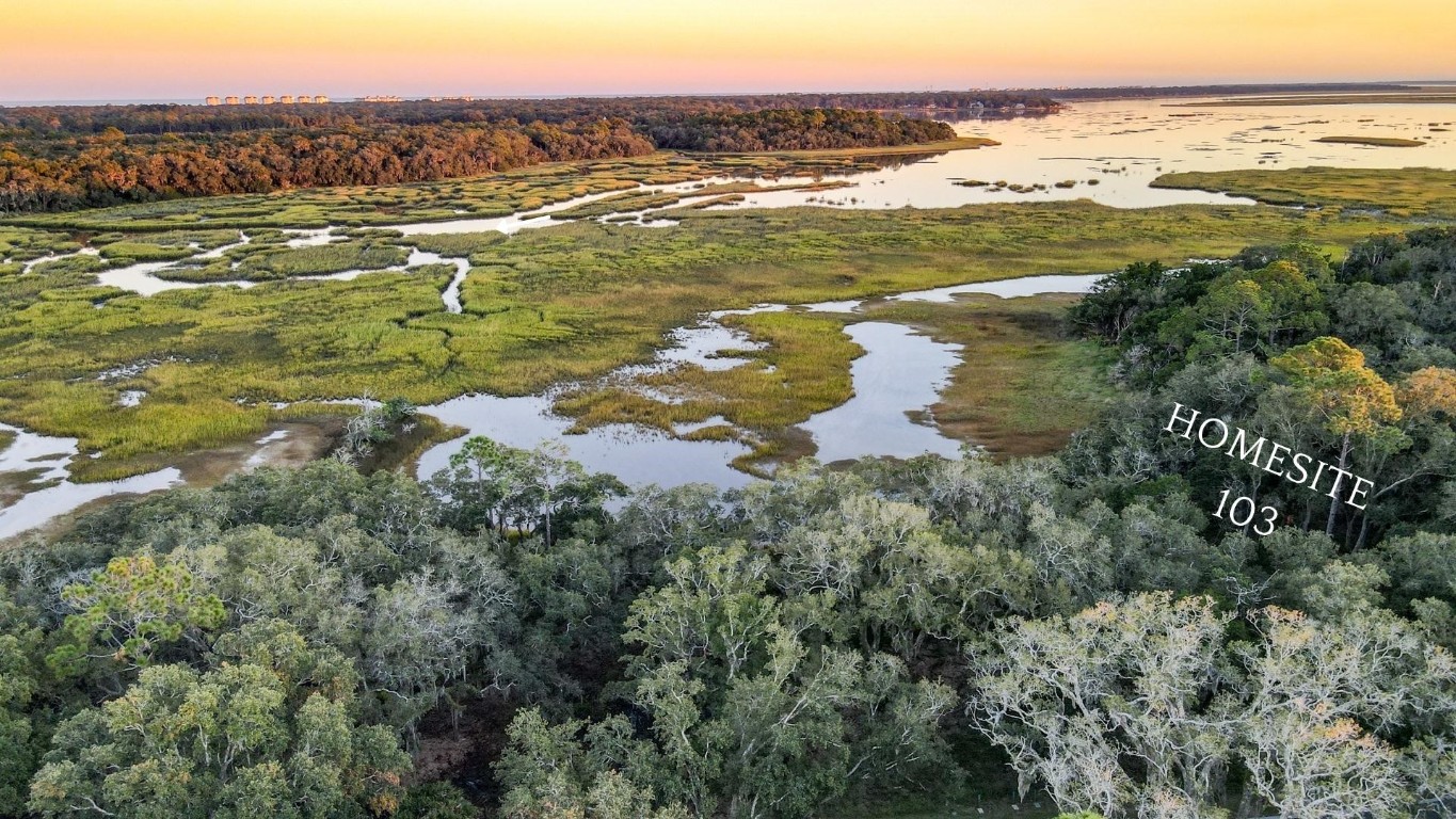 148 Crane Island Drive, Fernandina Beach, Florida image 1