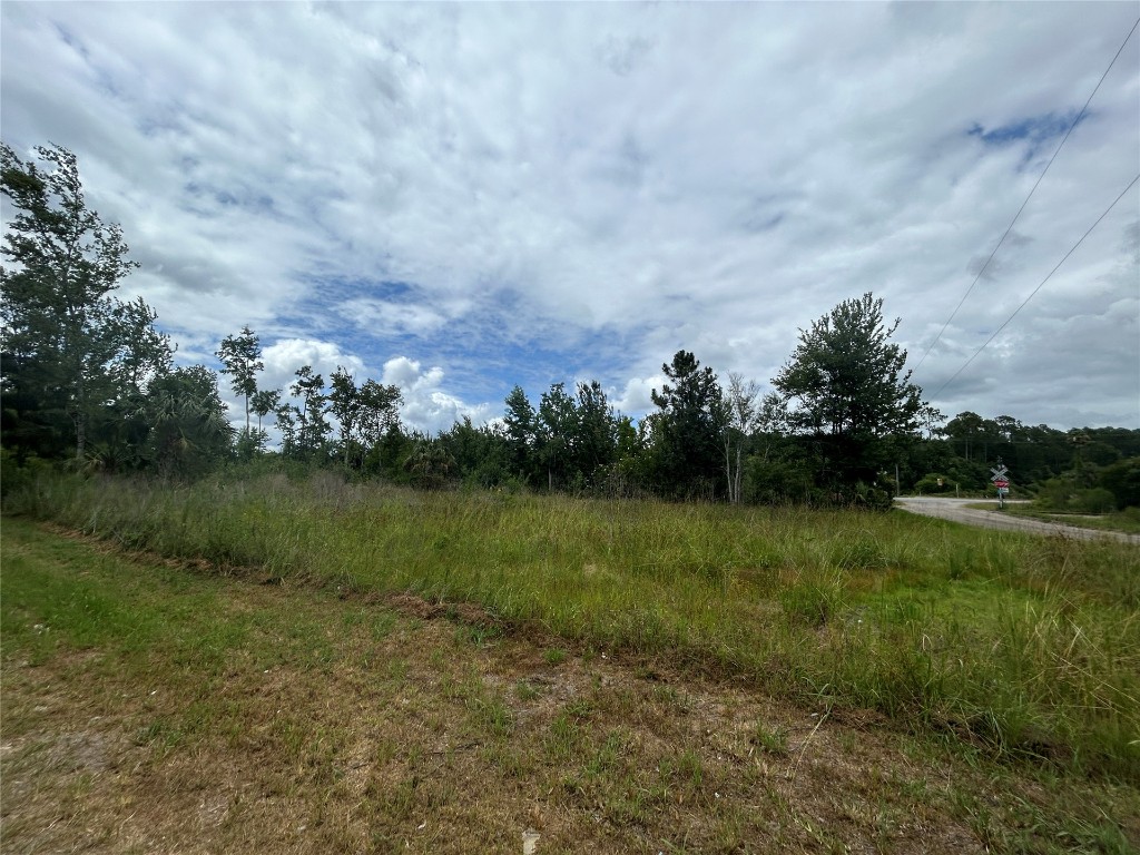 77111 Farmerville Way, Yulee, Florida image 2