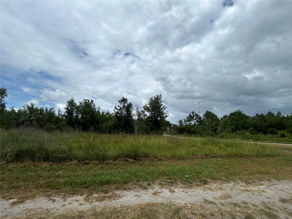 77111 Farmerville Way, Yulee, Florida image 13