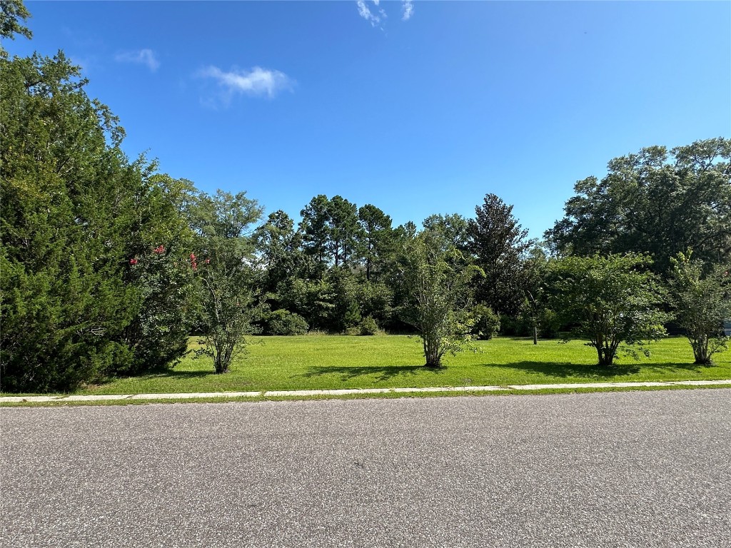 W 3rd Avenue, Hilliard, Florida image 1