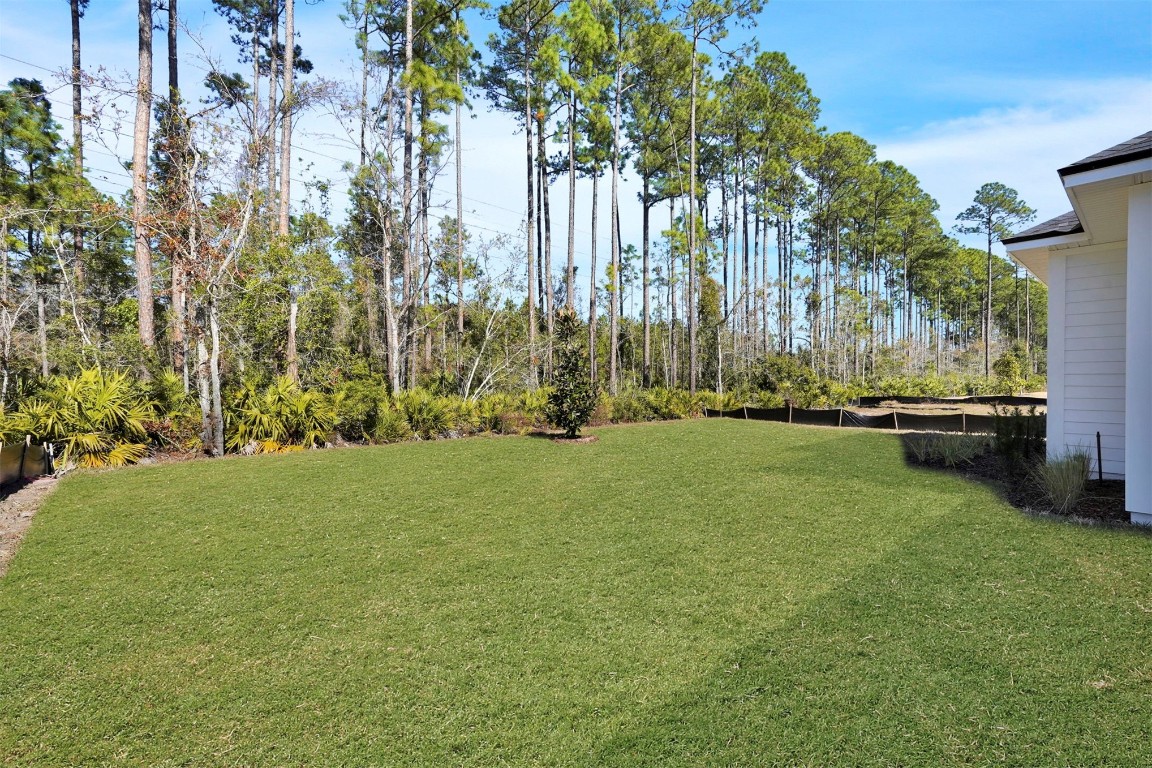 95268 Golden Glow Drive, Fernandina Beach, Florida image 42
