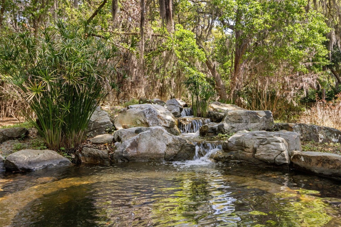 95112 Spring Blossom Court, Fernandina Beach, Florida image 5