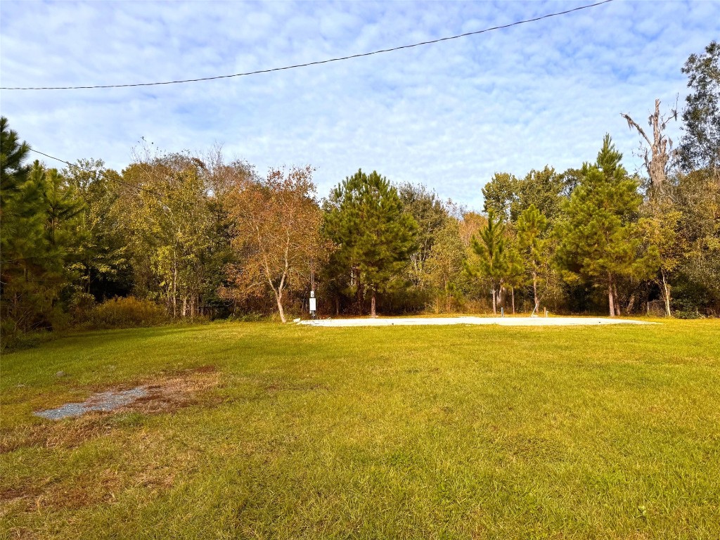 45100 Pony Trail, Callahan, Florida image 4