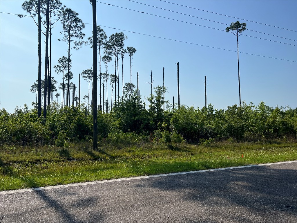 County Road 121 Road, Bryceville, Florida image 8