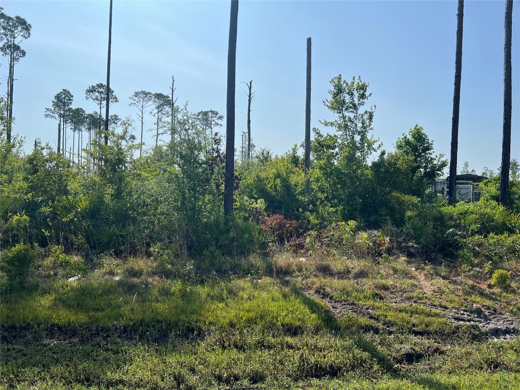 County Road 121 Road, Bryceville, Florida image 6