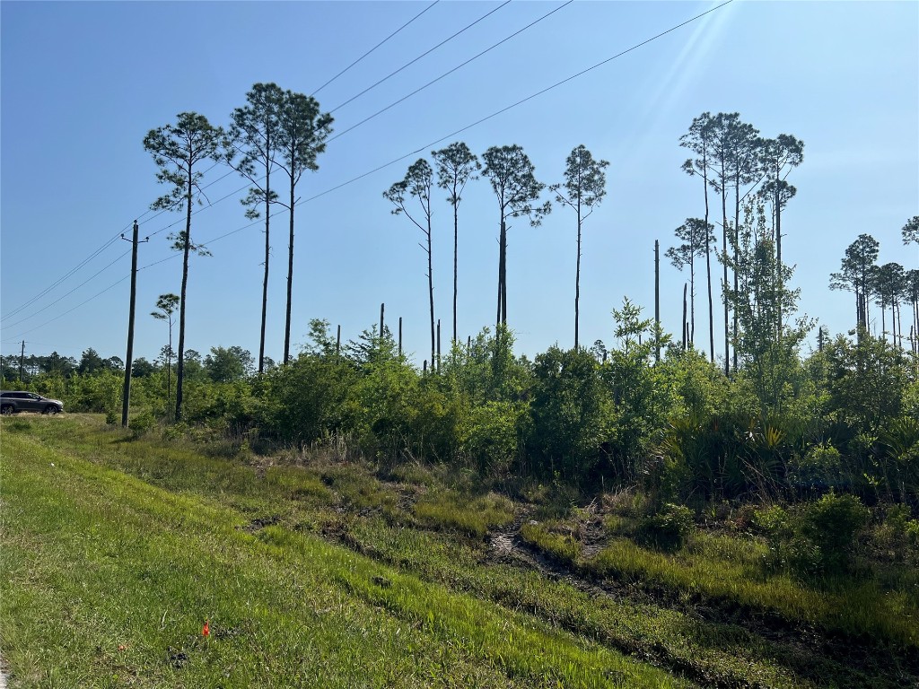 County Road 121 Road, Bryceville, Florida image 1