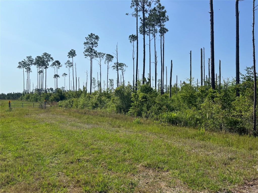 County Road 121 Road, Bryceville, Florida image 9