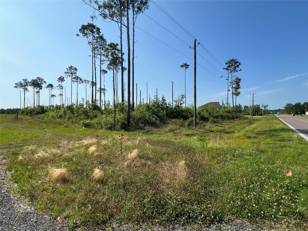 County Road 121 Road, Bryceville, Florida image 4