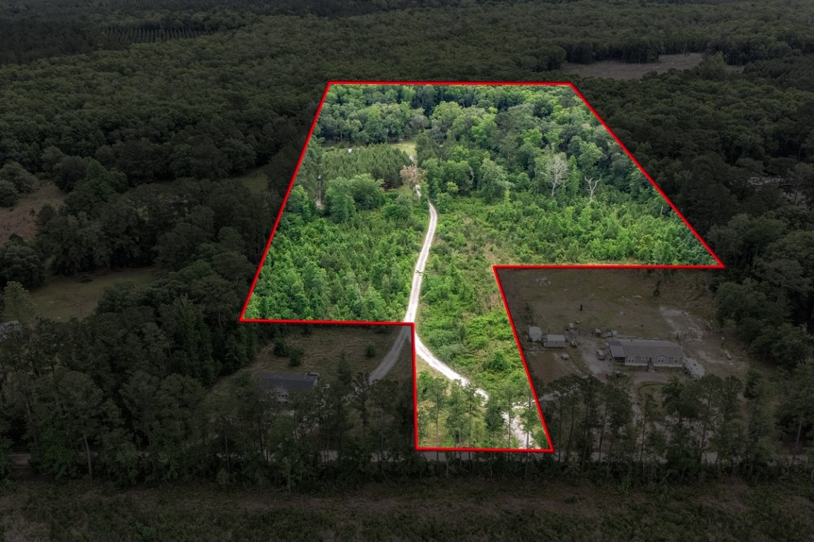 66516 Fred Miner Estate Drive, Yulee, Florida image 3