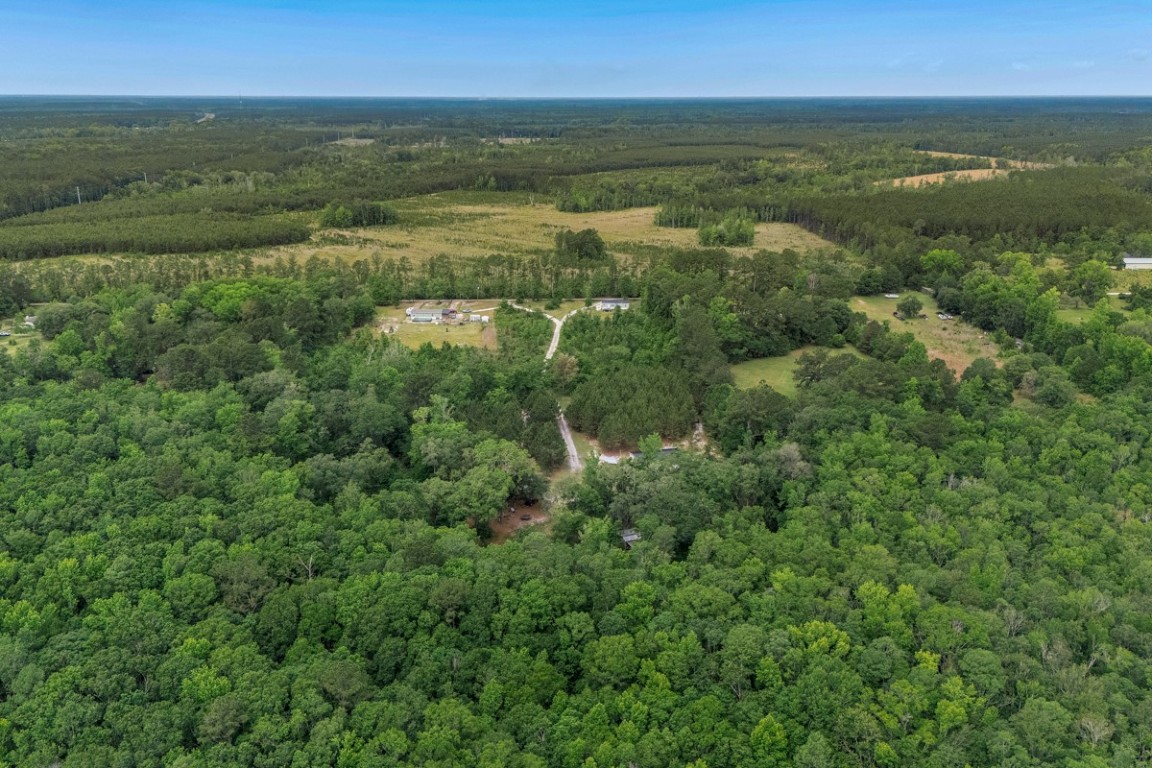 66516 Fred Miner Estate Drive, Yulee, Florida image 42